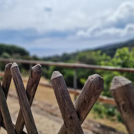 Le Querce App. Mirto Apartman