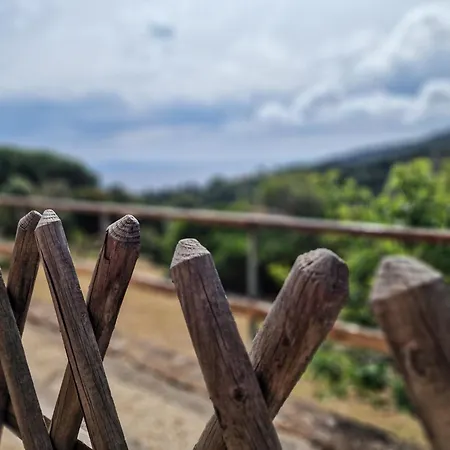 Le Querce App. Mirto Daire