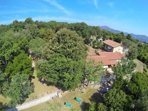 Appartement Le Querce App. Mirto Capoliveri (Isola d'Elba)